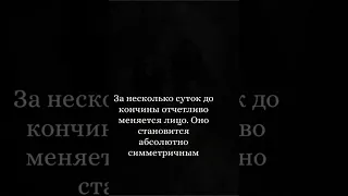 Вестники смерти. Как себя человек чувствует перед скорой смертью