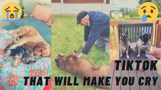 Tiktoks that will make you cry - Pet loss and grief