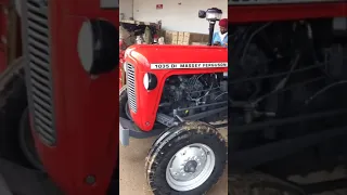 Massey ferguson 1035 Di export model