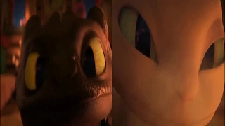 HTTYD Snoggletog Log - Toothless and Light Fury