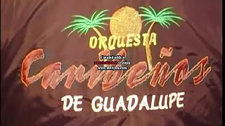 CARIBEÑOS DE GUADALUPE - DILE LA VERDAD ( DARWIN TORRES )