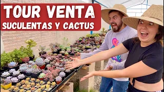 Tour Suculentas y Cactus venta Navideña