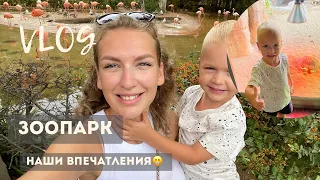 VLOG: ЖИЗНЬ В ИСПАНИИ. ЗООПАРК В БАРСЕЛОНЕ. 29.08.2022