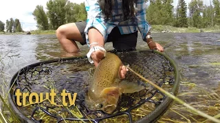 Blackfoot River on the fourth of July