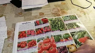 ДАЧНЫЙ СЕЗОН😊. ДЕНЬ ЗА ДНЕМ 12 01 2020. HowToChooseSeedsToPlant . SeedCatalogOverview