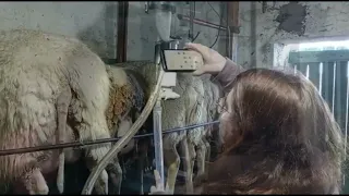 Control Lechero de ovejas Frisonas(Milchschaf), Convenio con la Facultad de Veterinaria