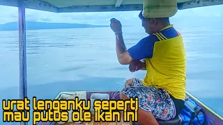 IKAN APA LAGI INI TARIKANNYA SEPERTI INI || urat lenganku seperti mau putus