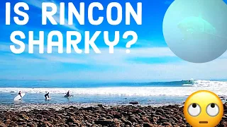 POV SURF - Firing waves and great white shark encounter at Rincon 😳 (3 days surfing swell at home)
