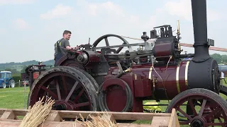 South Molton Vintage Rally 2024: Steam, Tractors, Cars, Trucks, Motorcycles, Hounds and a few Sheep.