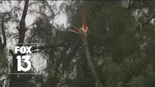 St. Pete sees storm damages from Florida severe weather system