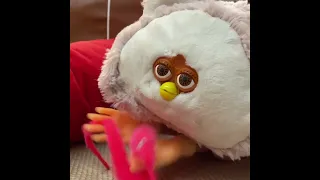 M O T H E R  Furby harvests the wurms