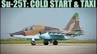 Su-25T Frogfoot: Cold Start & Taxi Tutorial | DCS WORLD