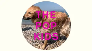 Pet Shop Boys - The Pop Kids (Blade Remix 2016)