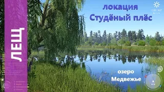 Русская рыбалка 4 - озеро Медвежье - Лещ под ивой