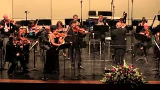 Wolfgang Amadeus Mozart: Sinfonia Concertante in E-flat major, K. 364: 1st mvt.(1/3)