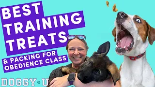 BEST Dog Training TREATS: What To PACK For Your FIRST (or any) Puppy Training CLASS