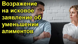 Возражение на исковое заявление об уменьшении алиментов