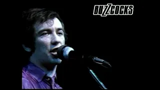 Buzzcocks :: Live @ Markthalle, Hamburg, West Germany, 1/23/81 [FINAL SHOW] [SOUNDBOARD + VIDEO]