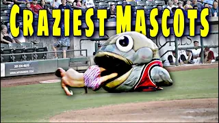 MLB Funny Mascot Moments