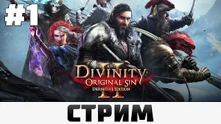 Divinity: Original Sin 2 | Тупим, тормозим #1