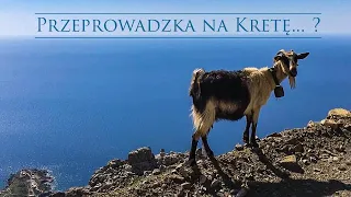 Przeprowadzka na Kretę - na co się przygotować /Vlog Kreta w Kapetaniana