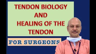 Tendon biology and healing - For surgeons