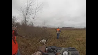 PHEASANT HUNTING-OHIO 2020