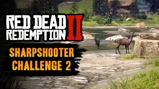 Red Dead Redemption 2 Sharpshooter Challenge #2 Guide - Kill 2 different animals with Dead Eye
