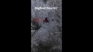 Bigfoot Caught on Drone Camera on Forest Trail 2023  #Sasquatch #bigfoot #yowie