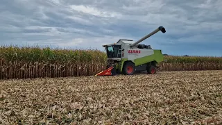 Vršenje vlažnog zrna kukuruza 2023.