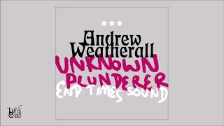 Andrew Weatherall - End Times Sound