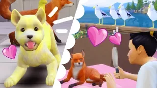 GAMEPLAY FIRST IMPRESSIONS // The Sims 4 CATS AND DOGS