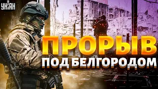 Новый прорыв под Белгородом. Путин впал в ступор и мычит - Фейгин объяснил