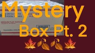 NAIL MAIL MYSTERY BOX UNBOXING PT 2  FULL OF INDIE POLISHES.
