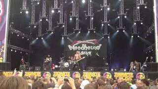 Bloodhound Gang - The Ballad Of Chasey Lain (Live)