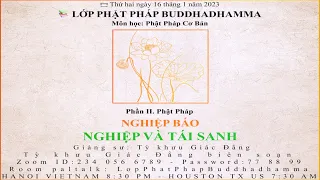 Phật Pháp Cơ Bản | Phần II: Phật Pháp - NGHIỆP BÁO - NGHIỆP VÀ TÁI SANH