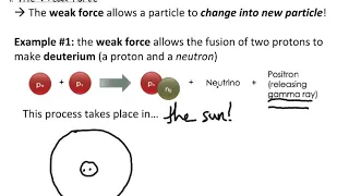 Fundamental Forces - The Strong Force and the Weak Force