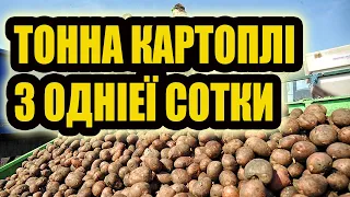 ВРОЖАЙ КАРТОПЛІ БУДЕ БІЛЬШЕ, якщо зробити так у серпні!