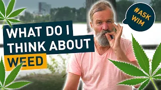 Iceman Wim Hof and Weed? #AskWim