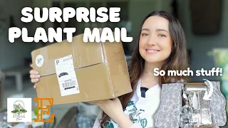 Opening a Surprise Plant Mail Gift Package from The Planted Mama on Etsy 🥹📦🪴