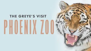 The Greye's Visit The Phoenix Zoo | The Greye's Family Adventures