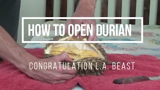 How To Open Durian Fruit - Congrats L.A. Beast for Guinness Book Of Records