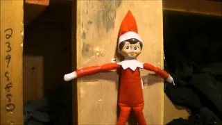 ELF ON THE SHELF MURDER