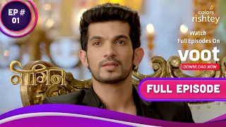 Naagin S1 | नागिन S1 | Ep. 1 | A Mysterious Woman Haunts Ritik