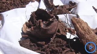 Bizarre: Man caught exhuming relative's body in Naivasha