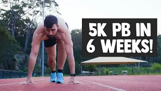 Fast 5K Full Program (Everyday Runners)