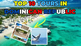 Punta Cana's Ultimate 10 Best Tours In Dominican Republic