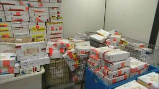 Mayor Keller: Albuquerque has cleared half its rape kit backlog