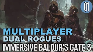 Immersive Baldur's Gate 3 Multiplayer | Blind Honour Mode (Episode 1)