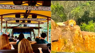 Kilimanjaro Safaris at Disney's Animal Kingdom 2023 4K Ride Experience- Walt Disney World March 2023